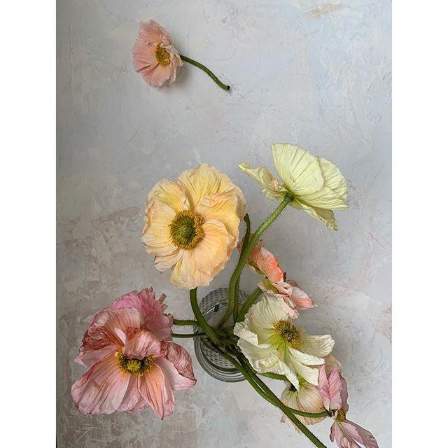 Bouquet/Flower - Poppies & Posies #2899490 - Weddbook